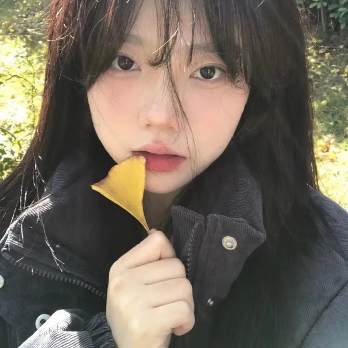 中国人的流浪记